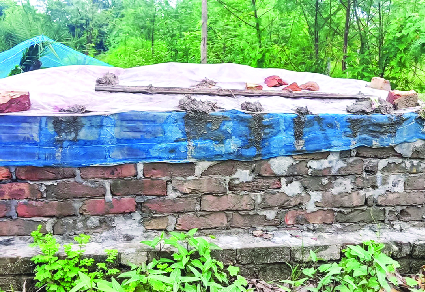 Image of মো: হাফেজ আনাজ বিল্লাহ